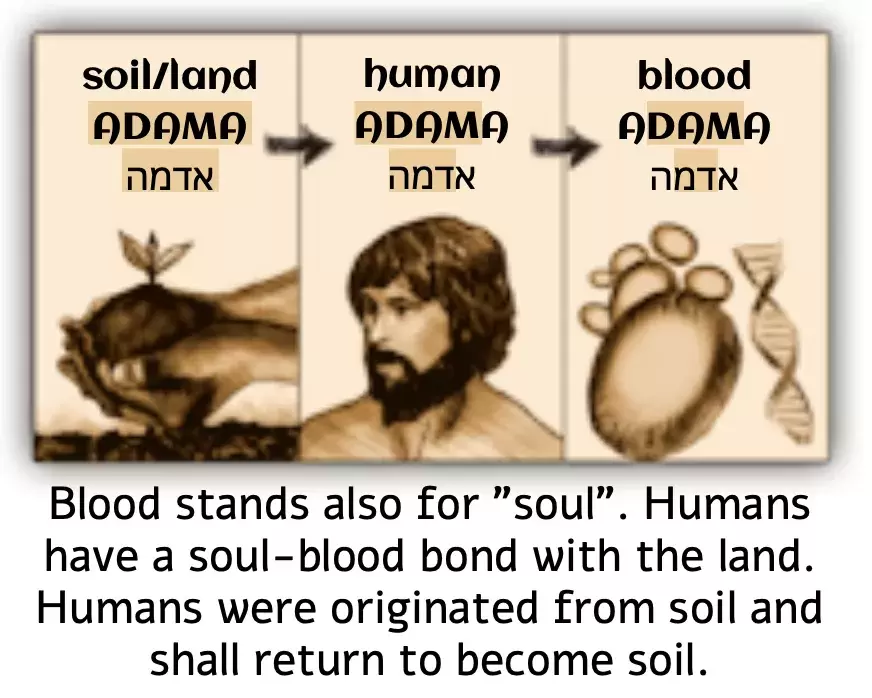 Blood and Humans represented in the Bible - code2GOD - Holy Land Man (Don Juravin)
